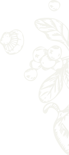 bg-4.png